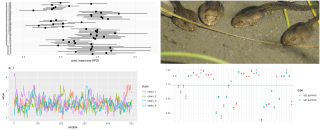 Tadpoles on TensorFlow: Hierarchical partial pooling with tfprobability