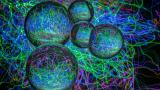 Newly certified instructors in August 2020