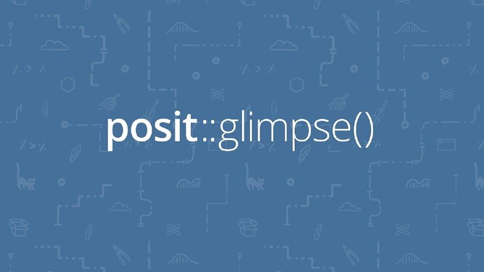 A blue background with a repeating pattern of white line drawings of various data-related icons, such as graphs, code symbols, and animals. Centered on the image is the white text 'posit::glimpse()'.