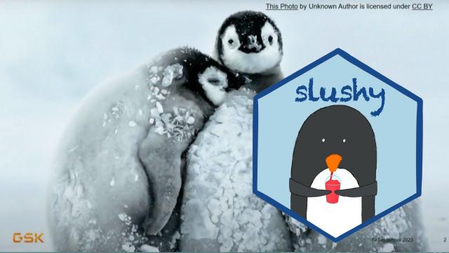 {slushy}: A Bridge to the Future - posit::conf(2023)